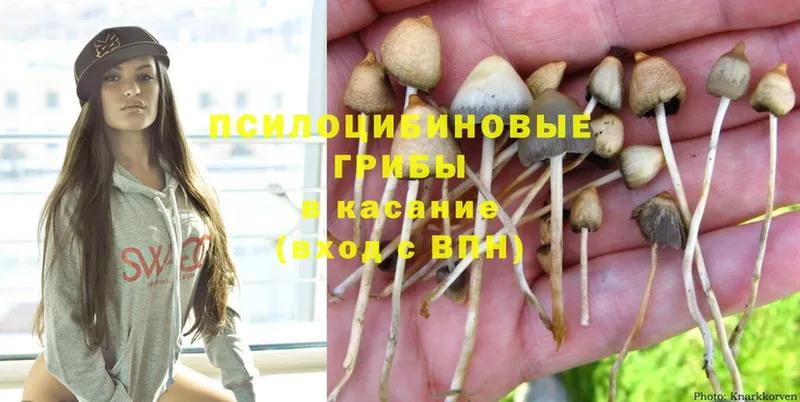 Псилоцибиновые грибы Magic Shrooms  как найти закладки  darknet клад  Козьмодемьянск 